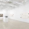 Between the Lines, Installation View, Alexander Gray Associates, New York (2020)