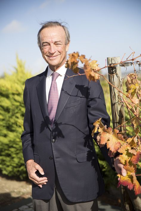 Bodega Miguel Domecq presenta su nuevo Entrechuelos semidulce