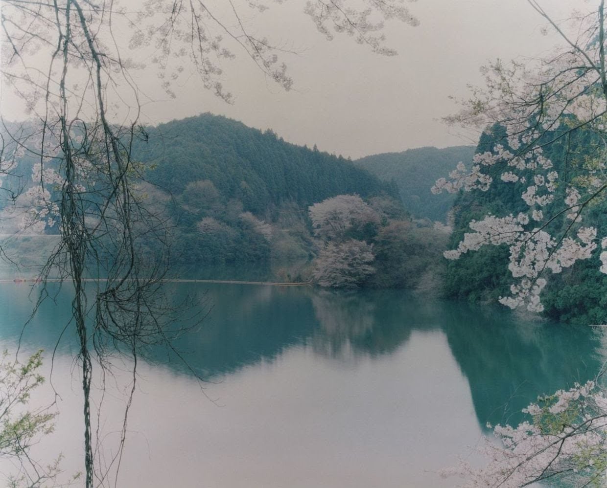 Ori Gersht. Reflections, 2010, Archival pigment print, 19 5/8h x 23 5/8w in