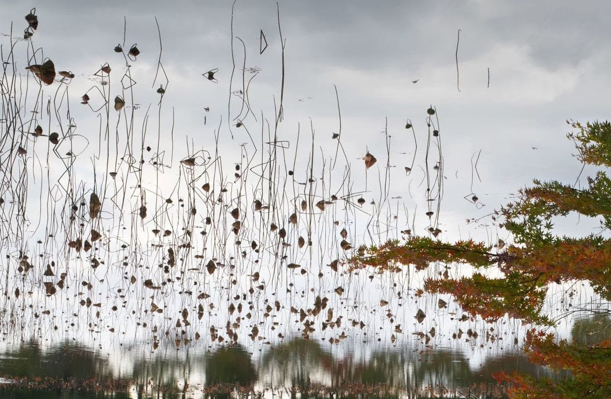 Ori Gersht. Hanging Sky 03, 2016, Archival pigment print, 47 1/4h x 72 1/4w in