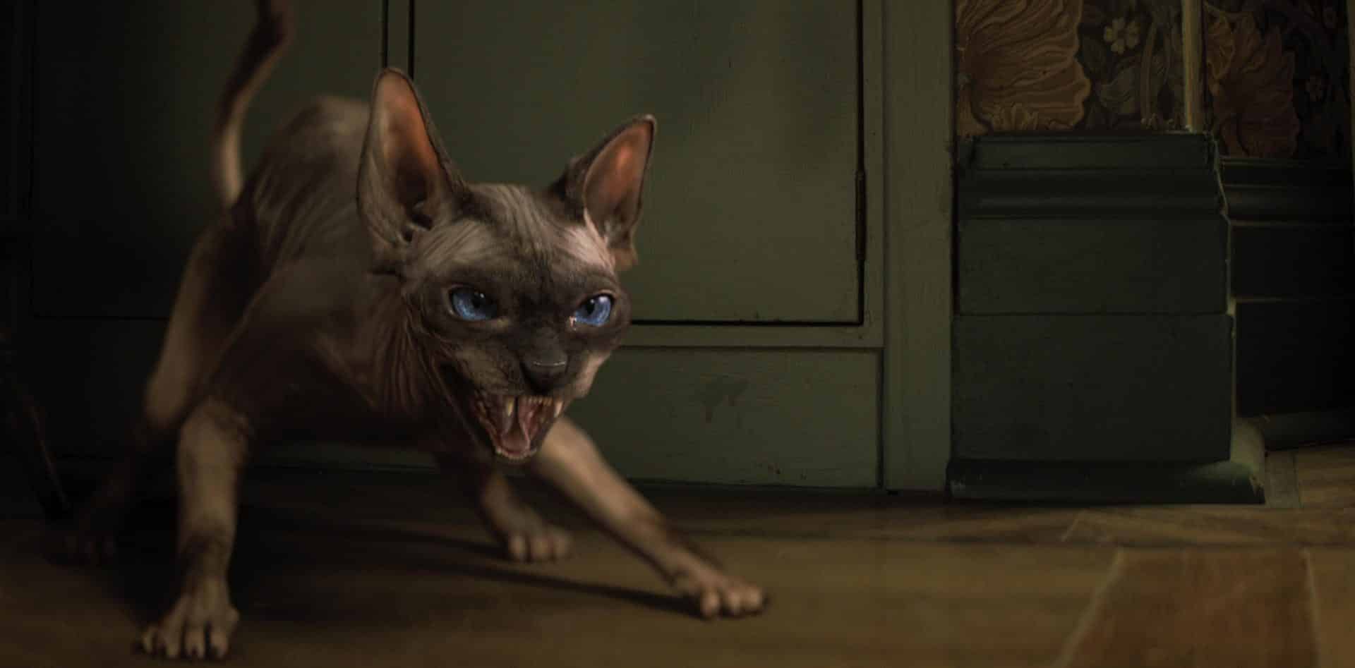 Nightbooks (2021), a David Yarovesky Movie