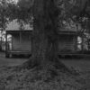 Dawoud Bey, Tree and Cabin, 2019, gelatin silver print, paper: 48 x 59 inches (121.9 x 149.9 cm), edition of 6 with 2 APs © Dawoud Bey Courtesy: Sean Kelly, New York © Dawoud Bey Courtesy: Sean Kelly, New York