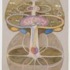 Hilma af Klint, Tree of Knowledge, No. 1, 1913–1915. Courtesy David Zwirner