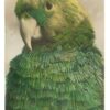 Julie Cockburn, There’s the Green Parrot, 2021, hand embroidery and ink on a found postcard