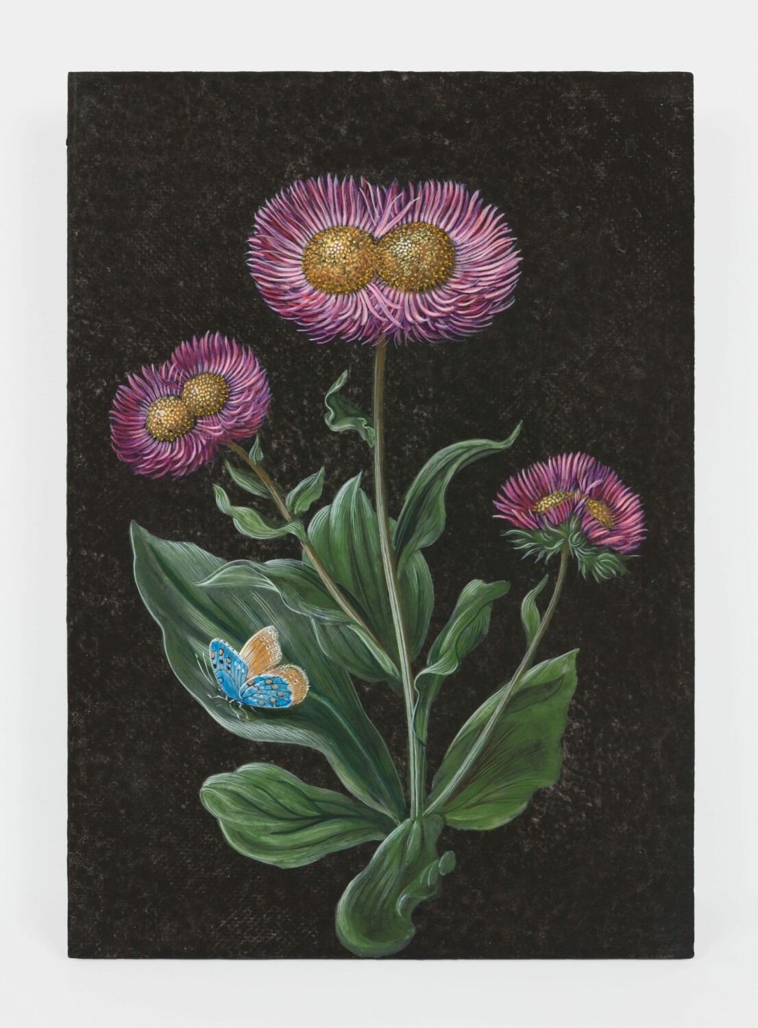 Future Herbarium. Distemper on wood, 34 x 24 x 5 cm | 13 3/8 x 9 7/16 x 1 15/16 inch. Photo: Claire Dorn. © Laurent Grasso / ADAGP, Paris & SACK, Seoul 2021. Courtesy Perrotin