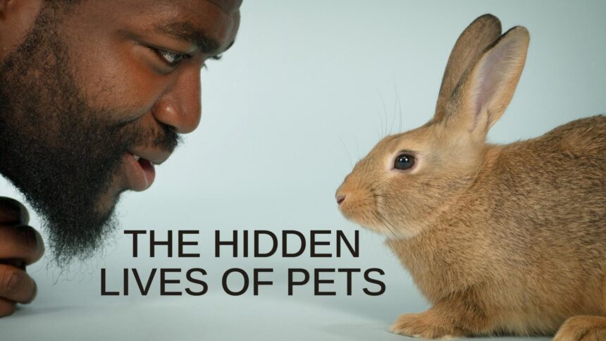 The Hidden Lives of Pets (2022)