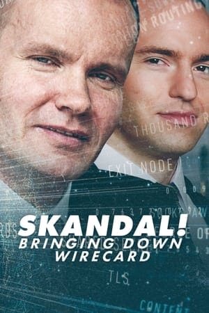 Skandal! Bringing Down Wirecard image