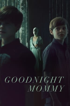 Goodnight Mommy image