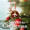 A Storm for Christmas series 2022