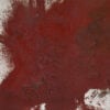 Hermann Nitsch