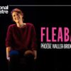 Fleabag national theatre