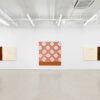 Installation view: Harmony Hammond: Accumulations, Alexander Gray Associates, New York, 2023