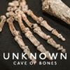 Unknown: Cave of Bones