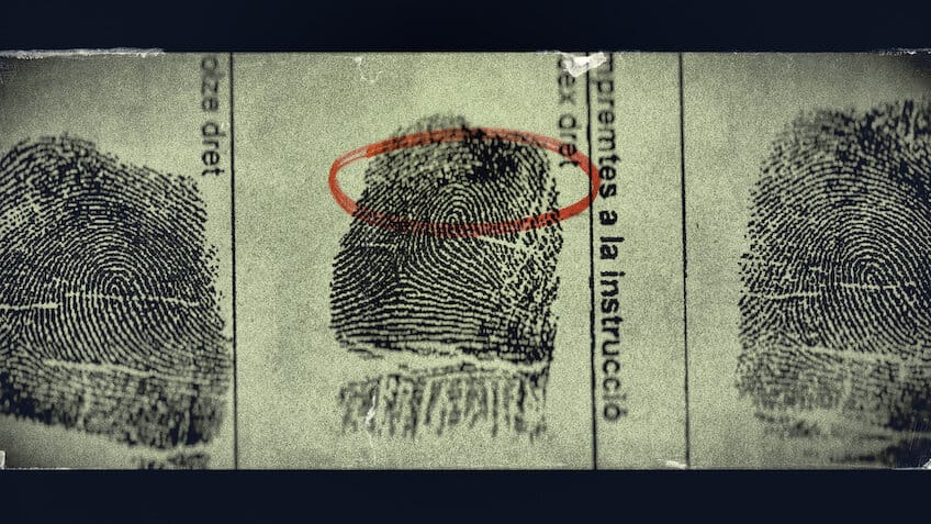 Angi Fake Life, True Crime