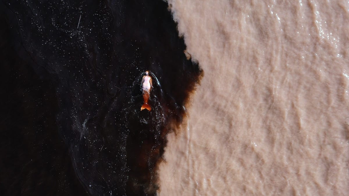 Emilija Škarnulytė