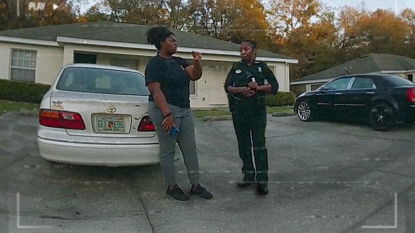 The Perfect Neighbor