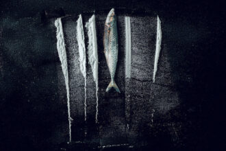 Turn of the Tide The Surreal Story of Rabo de Peixe