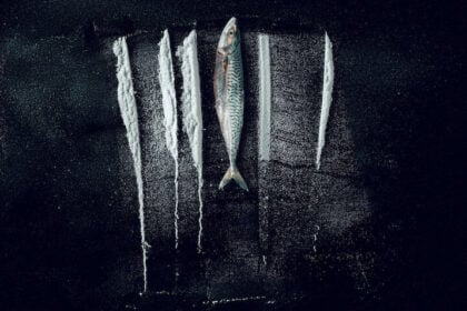 Turn of the Tide The Surreal Story of Rabo de Peixe