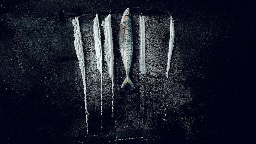 Turn of the Tide The Surreal Story of Rabo de Peixe